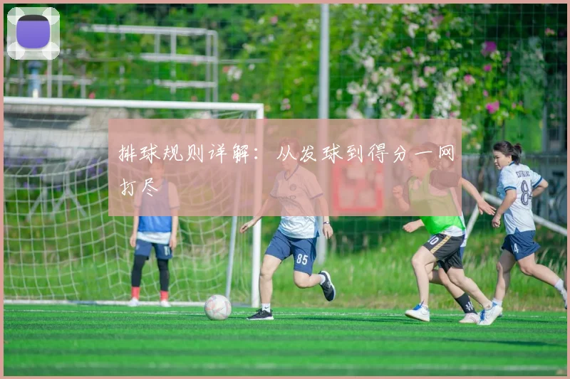 排球规则详解:从发球到得分一网打尽