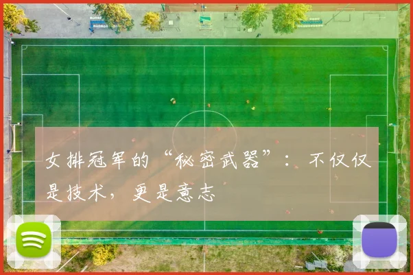 女排冠军的“秘密武器”：不仅仅是技术，更是意志