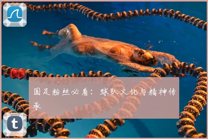 国足粉丝必看：球队文化与精神传承