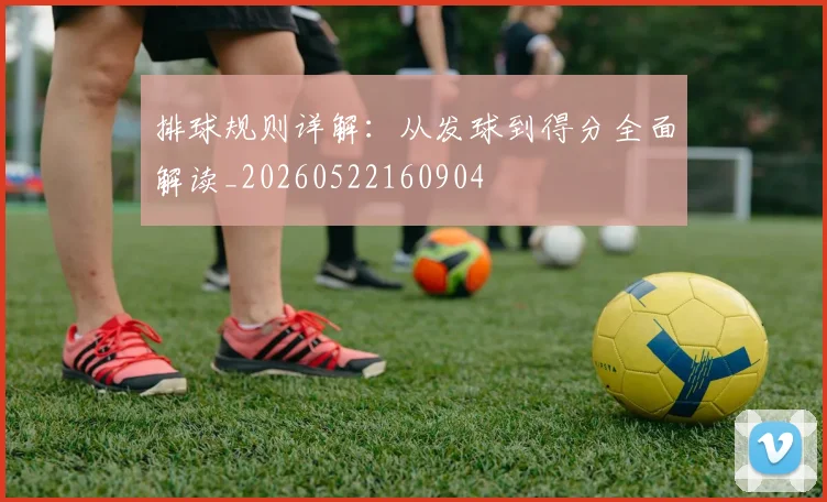 排球规则详解:从发球到得分全面解读_20260522160904