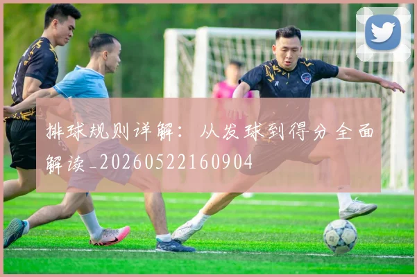 排球规则详解:从发球到得分全面解读_20260522160904