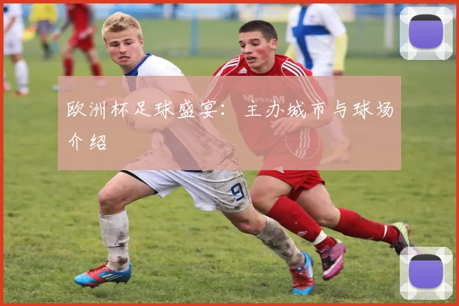 欧洲杯足球盛宴:主办城市与球场介绍