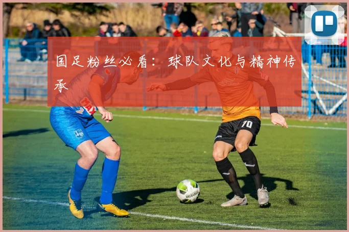 国足粉丝必看:球队文化与精神传承